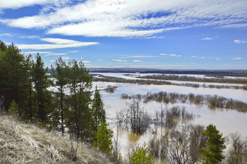 spring landscape / ***