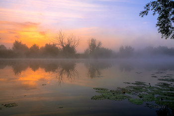 Misty dawn. / ***