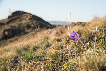 first / [img]https://i.imgur.com/H3R0O7J.jpg[/img]
