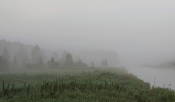Foggy morning / ***
