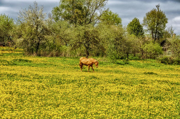 Outskirts of a village / ***