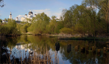 spring landscape / ***