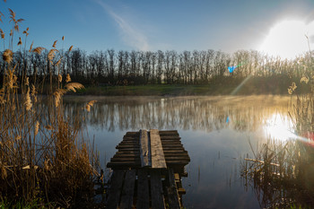 Morning on the river / ***