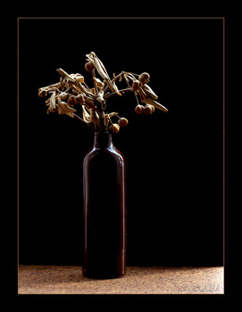 &nbsp; / [img]https://i.imgur.com/AEjY1uc.jpg[/img]