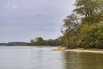 &nbsp; / Ein wilder Strand