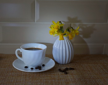 Fog dissipates / ***