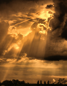 the light of heaven / ***