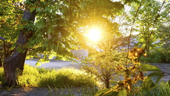 The first rays of the sun / ***