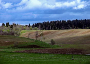 spring landscape / ***