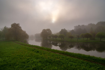 Foggy morning / ...