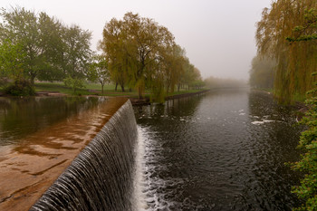 Foggy morning / ***