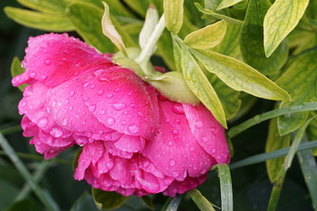 under rain / ***