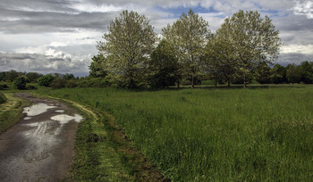 After the rain / ***