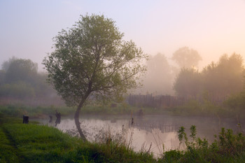 Early morning / ***
