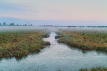 Dawn on the swamp / ***
