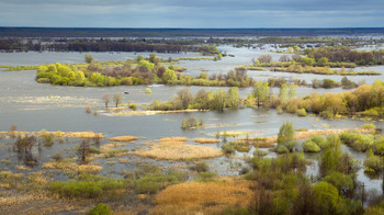 High Water / ***