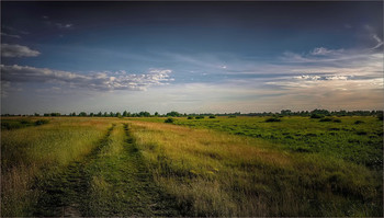 A hot summer day / ***