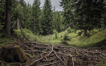 In the Alps / ***