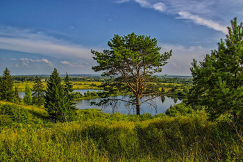 Evening Landscape / ***