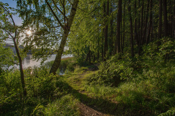 Path / ***