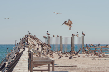 I go to the landing / ...