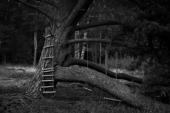 Abandoned Childhood / Playground left abandoned in the middle of a forest.