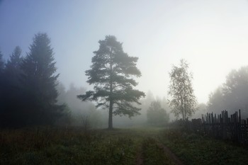 Fog dissipates / ***