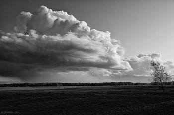 Cloud / ***