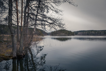 Cloudy evening / ***