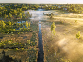 Fog dissipates / ***