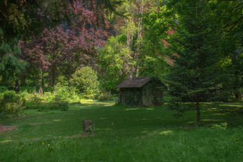 Der Schuppen / Die Hütte im Sommerwald.
Gefunden in einem Baumpark mit vielen Nordamerkanischen Bäumen.
Wurde angelegt von einer botanischen Liebhaberin im 17. Jahrhundert.
