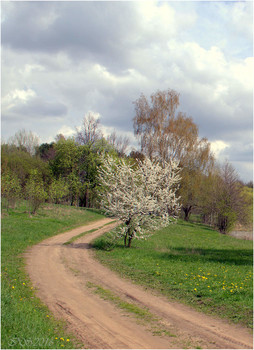 Spring etude / [img]https://i.imgur.com/MRhqFjs.jpg[/img]
 [img]https://i.imgur.com/iWwgKOt.jpg[/img]