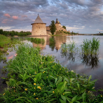 Pskov / ***