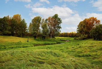 Autumn meadow / ***