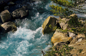 &quot;Clear water&quot; / ***