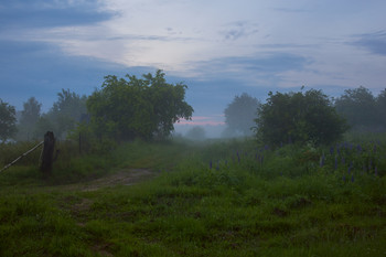 Evening fog / ***