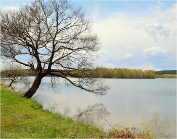 Spring Beach / ***