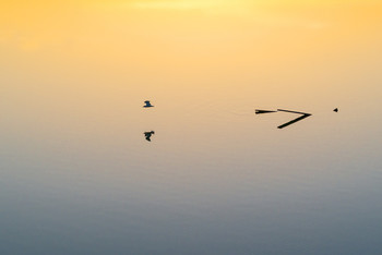 Evening / ***