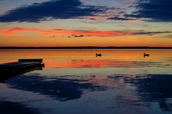 Evening / ***