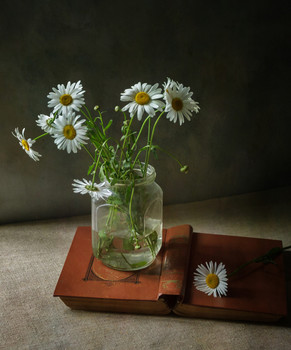 Daisies / ***