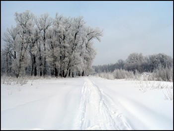 Winter landscape / ***
