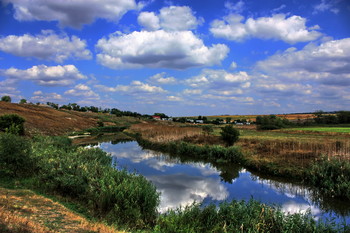 Reflection / ***