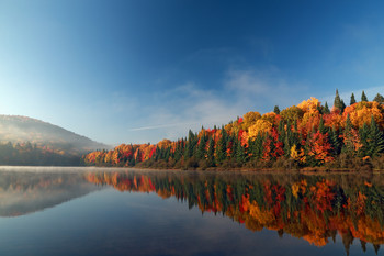Autumn forest reflected in water. / Autumn forest reflected in water. Colorful autumn morning in the mountains. Colourful autumn morning in mountain lake. Colorful autumn landscape. Parc national Mont Tremblant. Quebec. Autumn in Canada