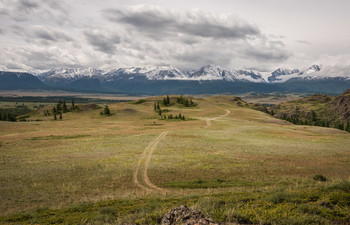 Kurai steppe / ***