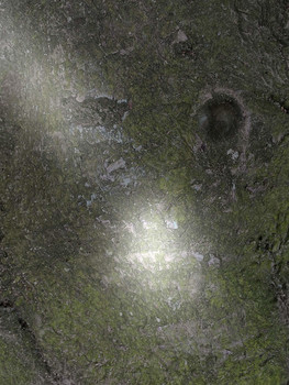 About a face / Erkennt Ihr es?