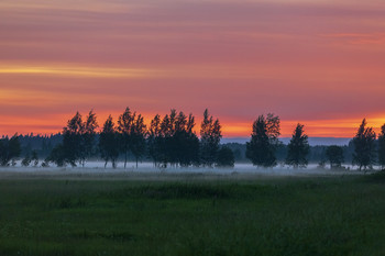 Misty evening / ***