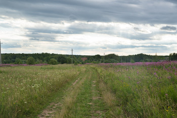 Field road / ***