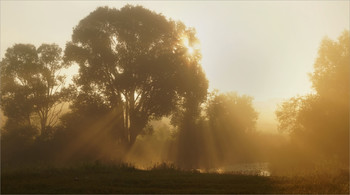 July morning / ***