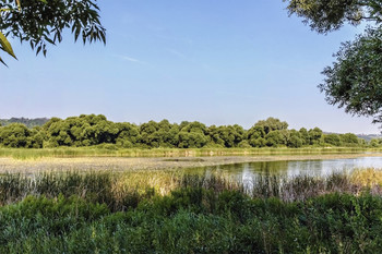 at the lake .. / ***