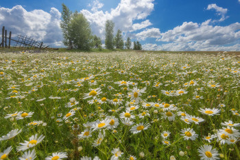 About summer ... / ***
